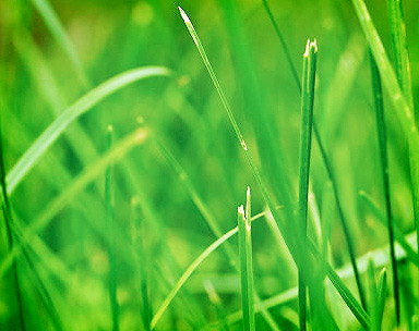 ddos攻击防御手段